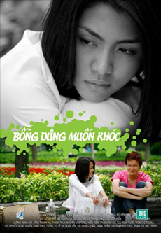 Tuyển Tập DVD Phim Bộ Việt Nam